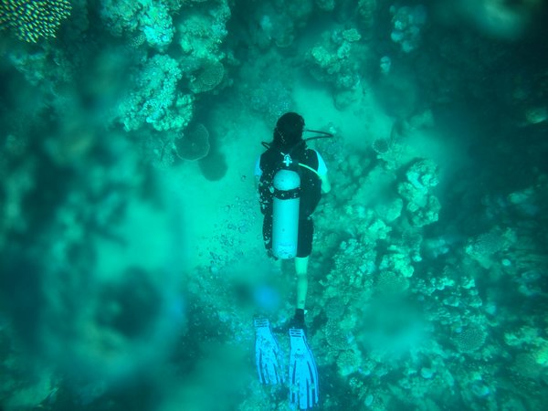 Quels sont les secrets pour une expédition de plongée en apnée dans les lagons de Palau : conseils et équipements ?